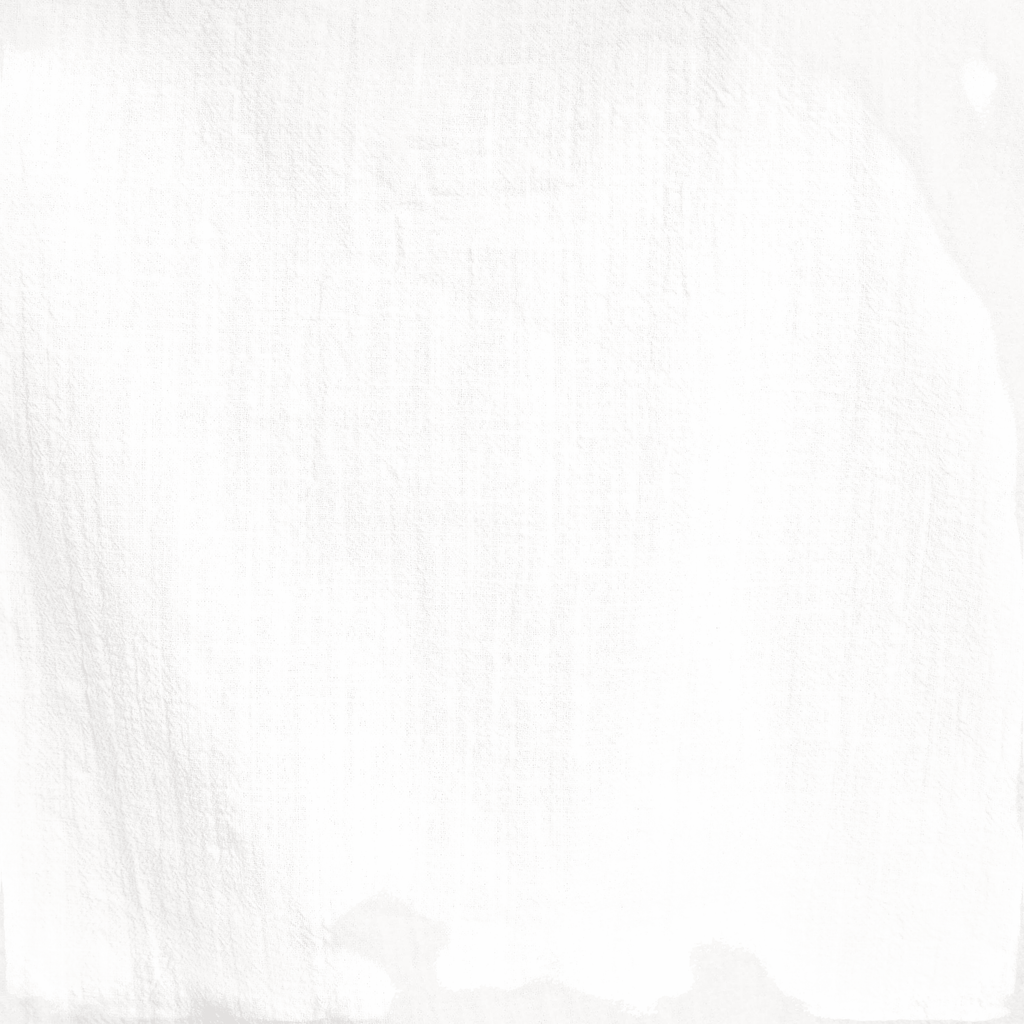 Barena Venezia Shirt Mola Lanchin - Bianco Shirt Barena Venezia 