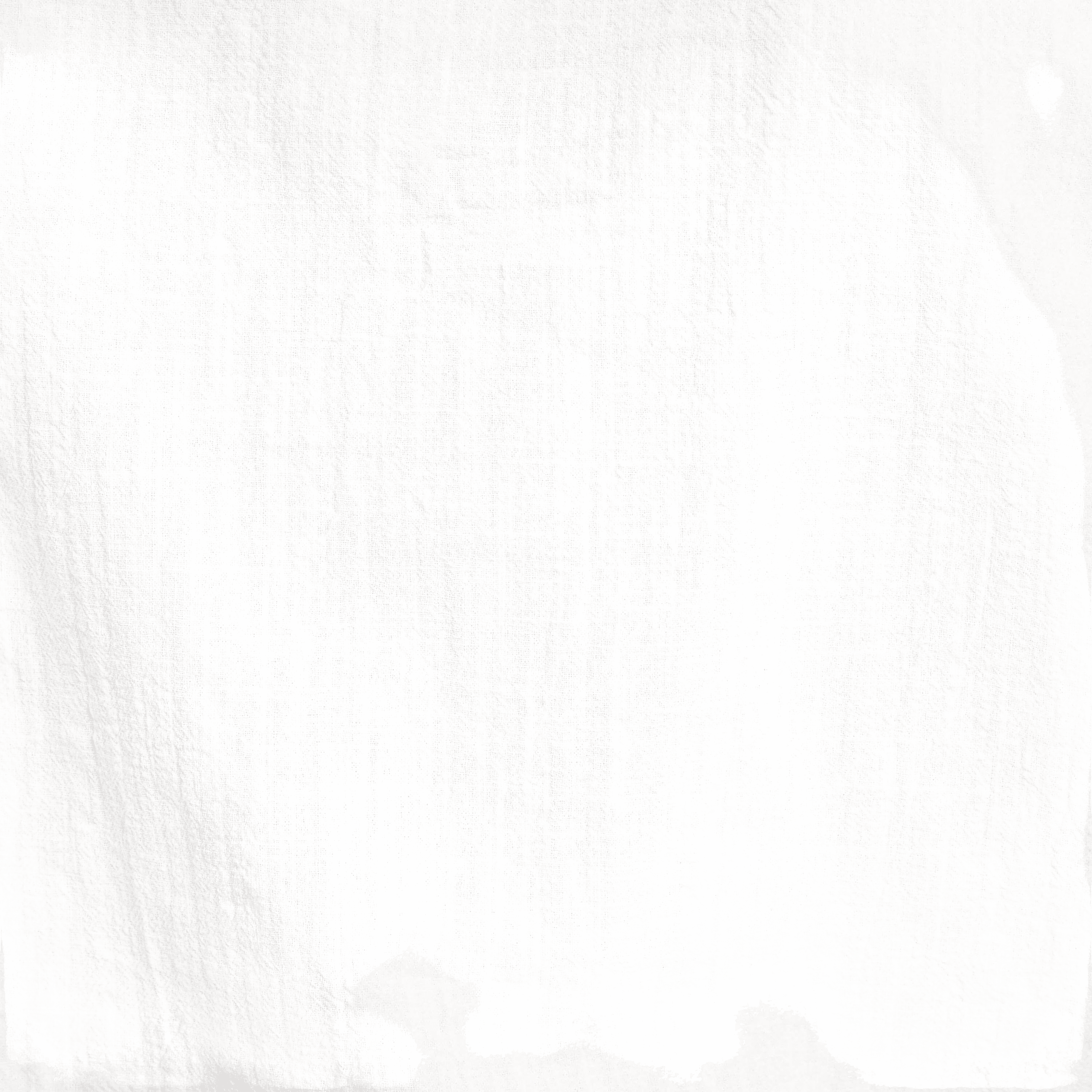 Barena Venezia Shirt Mola Lanchin - Bianco Shirt Barena Venezia 