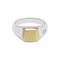 Leo Chevon - Oslo Gullsten Ring - Gull main product image