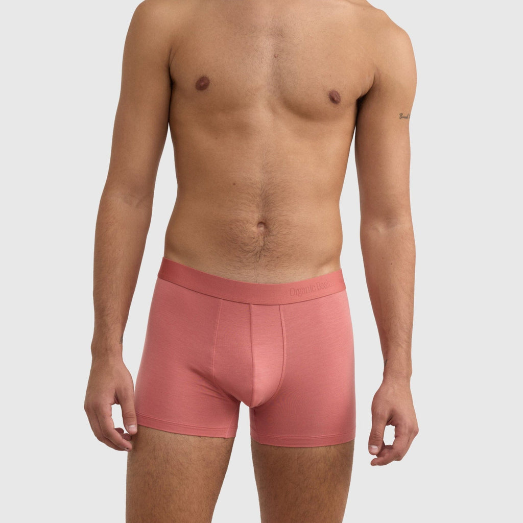 Organic Basics Soft Touch Trunks 3-pack - Terracotta / Rich Brown / Midnight Blue Boxers Organic Basics 