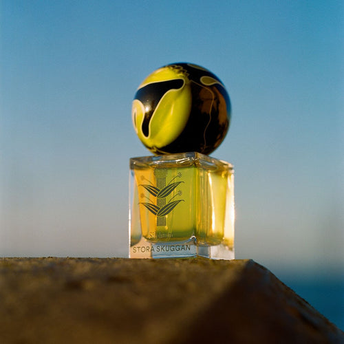 Stora Skuggan Silphium EdP Fragrance Stora Skuggan 