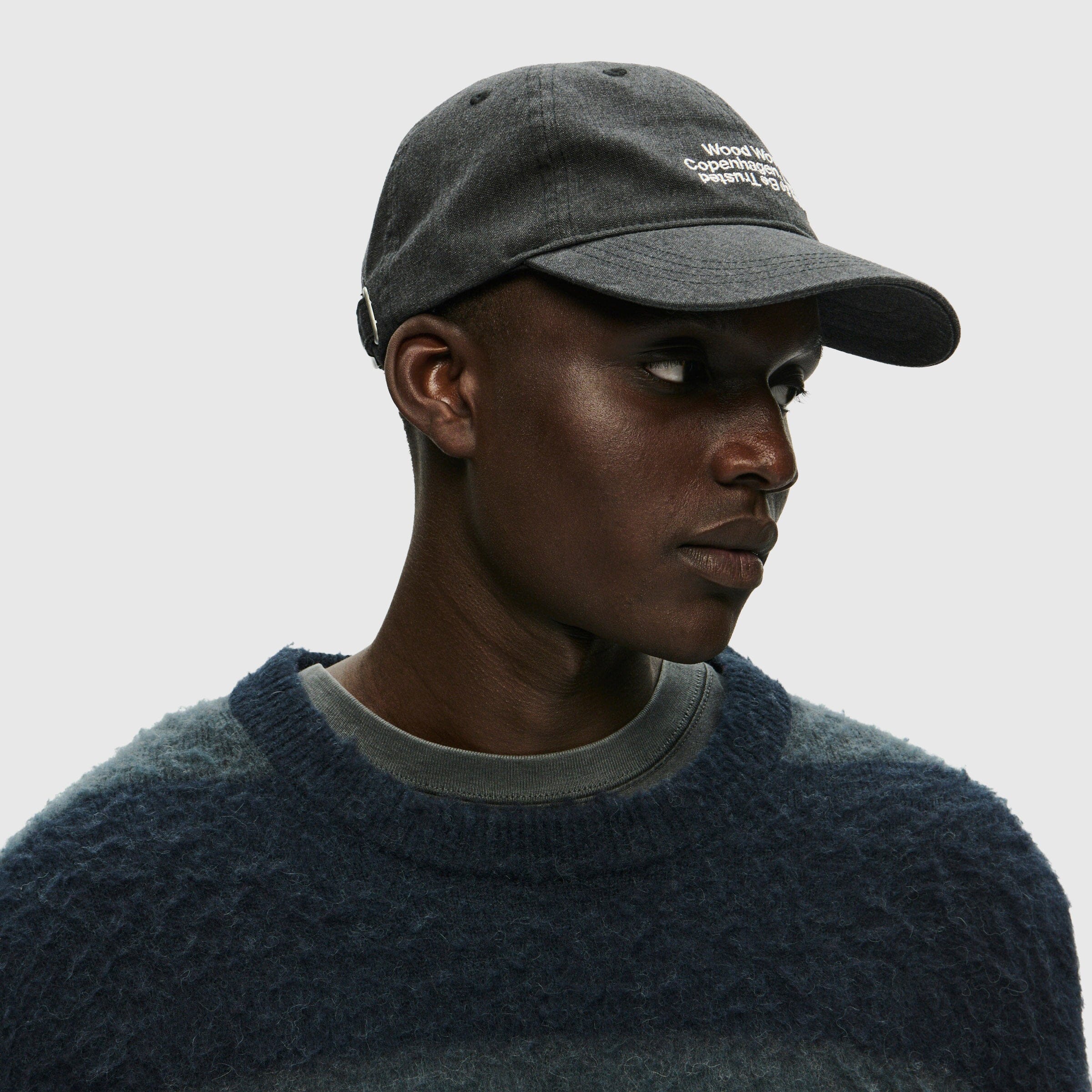 Wood Wood Levi Crew Neck - Salute Stripe Sweater Wood Wood 