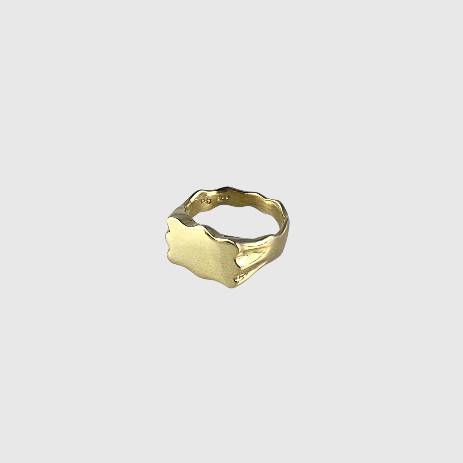 Aur Studio Edvard Signet Ring - Gold Jewellery Aur Studio 