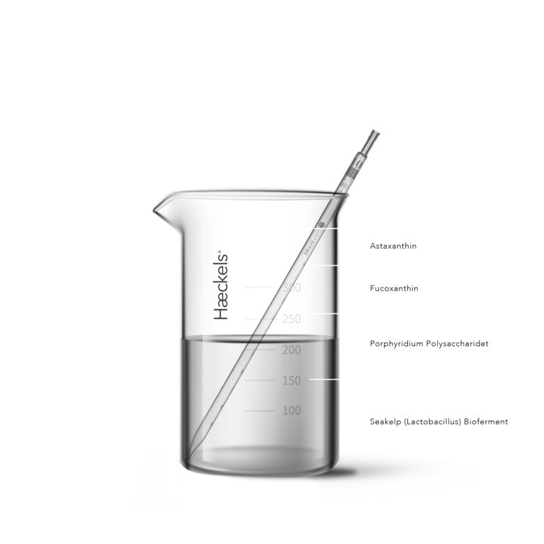 Haeckels Photo Algae Mattify ansiktsserum Ansiktsserum Haeckels 