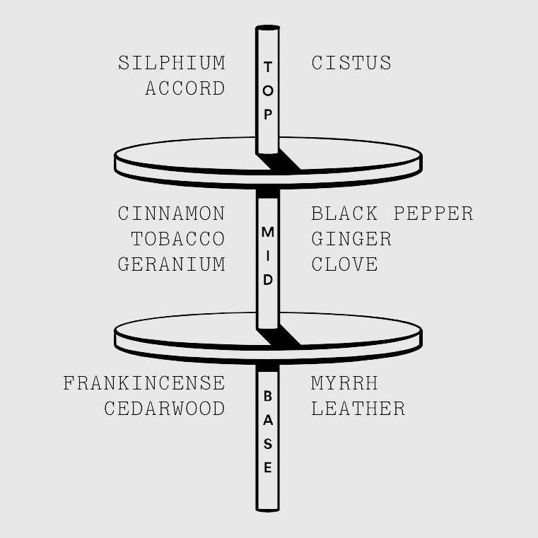 Stora Skuggan Silphium EdP Fragrance Stora Skuggan 